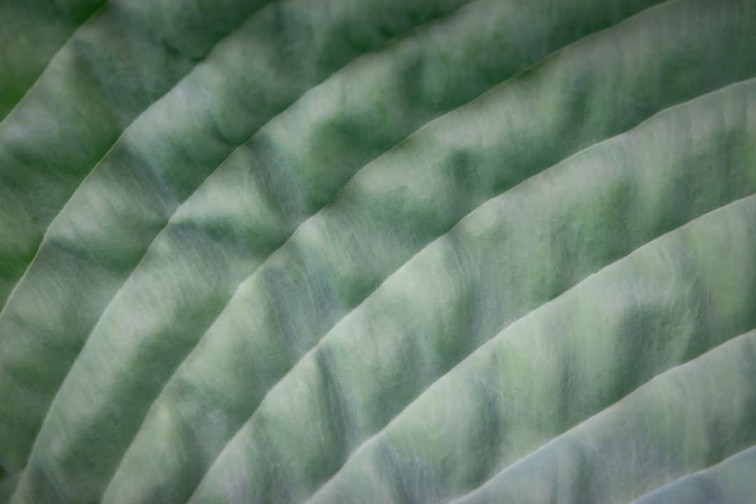 盯着拾荒老人不放，是怜悯？还是想遮羞？